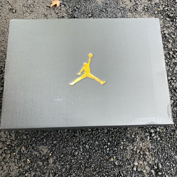 Air Jordan Retro 3 Animal Instinct 2.0 2020 Sz9&10 - Picture 6 of 7